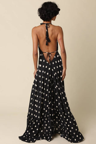 Charly Polka Dot Maxi Dress